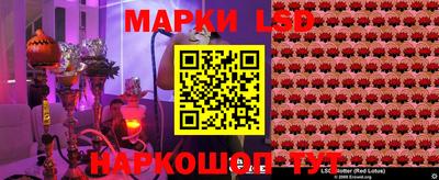 стафф Кингисепп