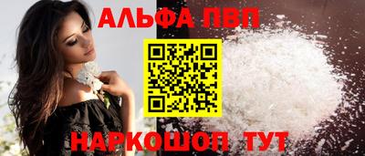 стафф Кингисепп
