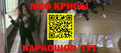стафф Кингисепп